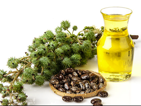 10 Awesome Skin, Hair and Health Benefits of Castor Oil