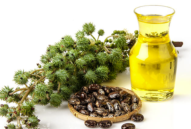10 Awesome Skin, Hair and Health Benefits of Castor Oil