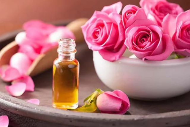 Rose Petal Oil: A Fragrant Elixir of Beauty and Wellness